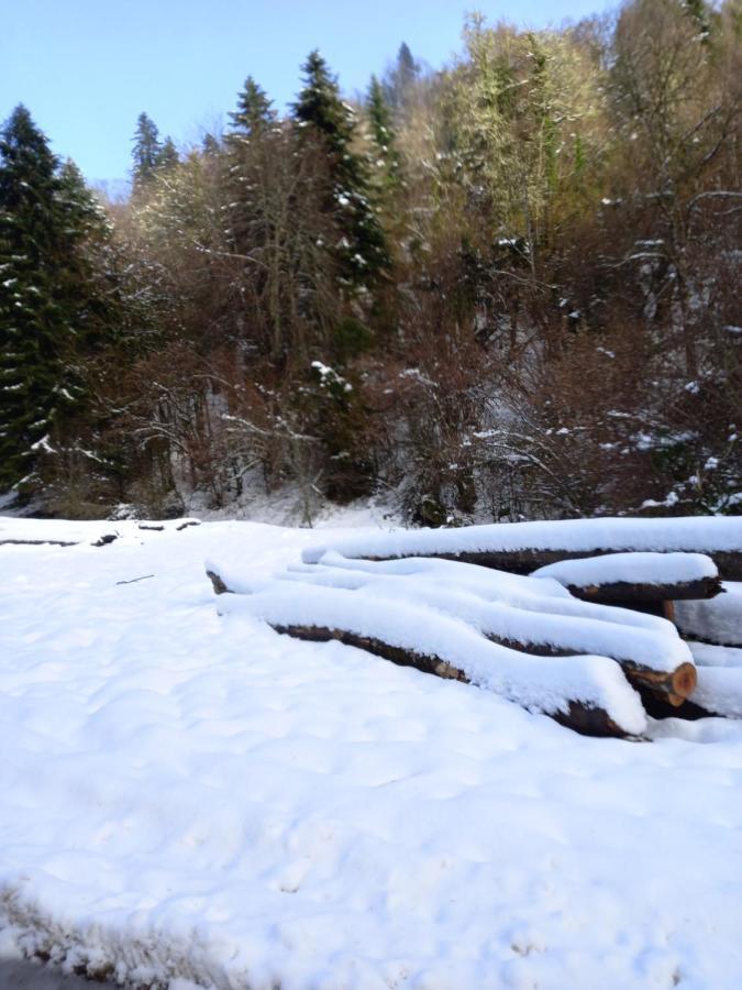 Appartement 2 A 4 Personnes Le Pyreneen A Arreau Carrefour Des Activites De Montagne Exteriör bild